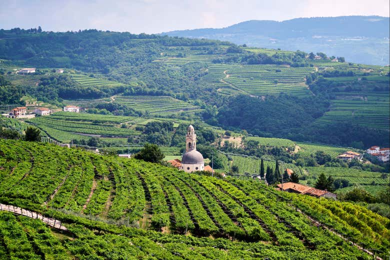 Tour del vino por Valpolicella