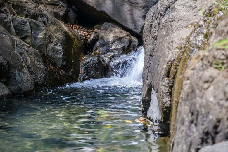 Senderismo por la cascada del Sossego y el Ribeirão do Meio