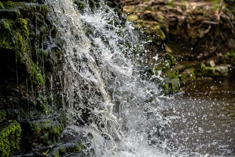 Senderismo por la cascada del Sossego y el Ribeirão do Meio