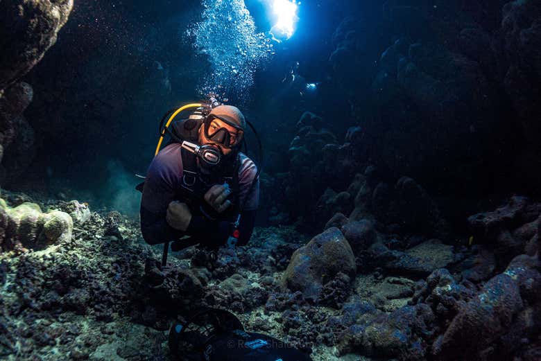 Buceo en Yeda
