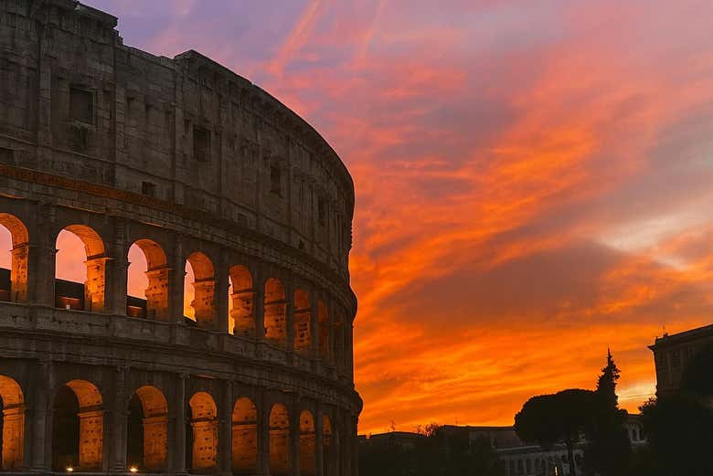 Entradas al Coliseo, Foro y Palatino + Autobús turístico Big Bus - Galería 1