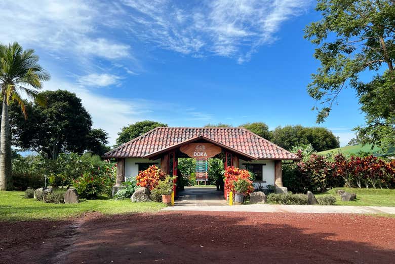 Visita a la Hacienda Doka