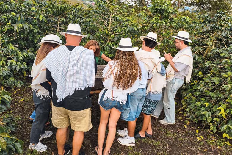 Visita a la finca cafetera Casa Laureles