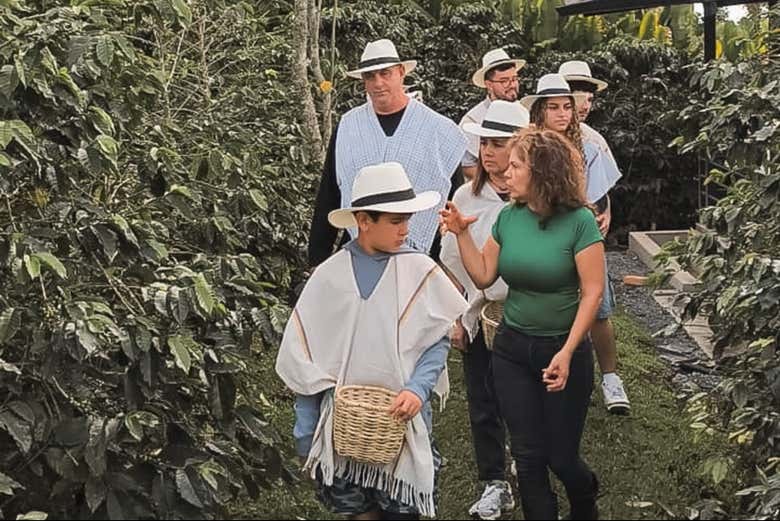 Visita a la finca cafetera Casa Laureles