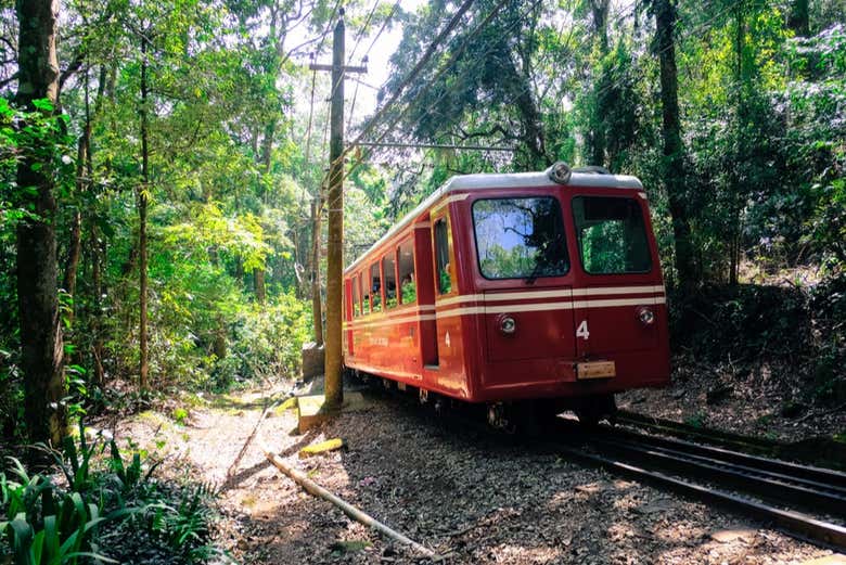 Tren del Corcovado con entrada al Cristo Redentor