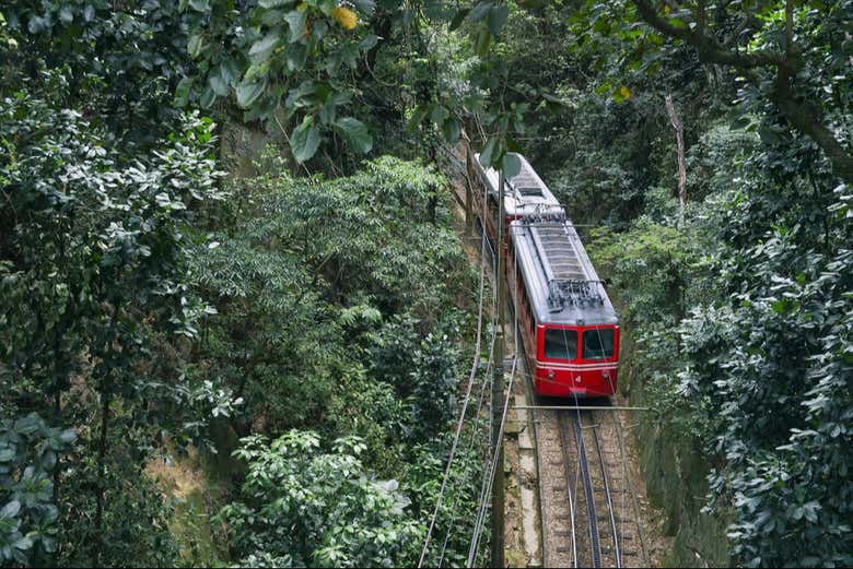 Tren del Corcovado con entrada al Cristo Redentor