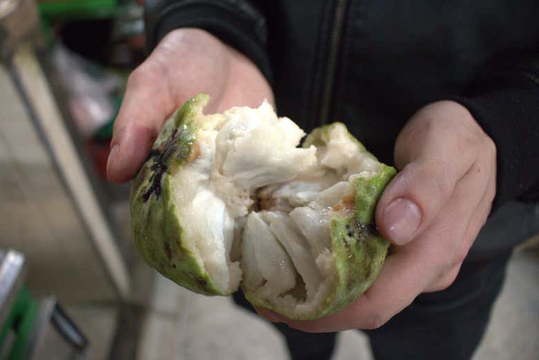 Tour de la fruta colombiana por el Mercado 7 de Agosto