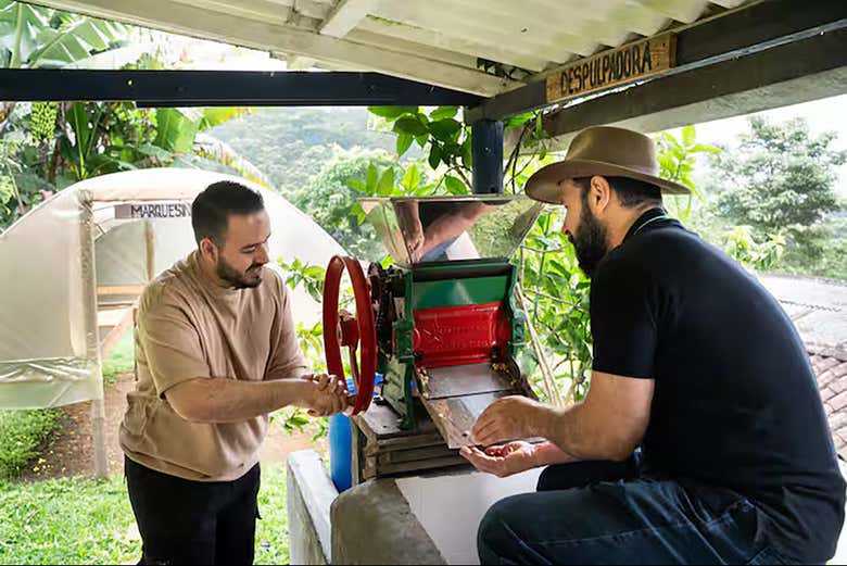 Tour del café en la finca La Esperanza