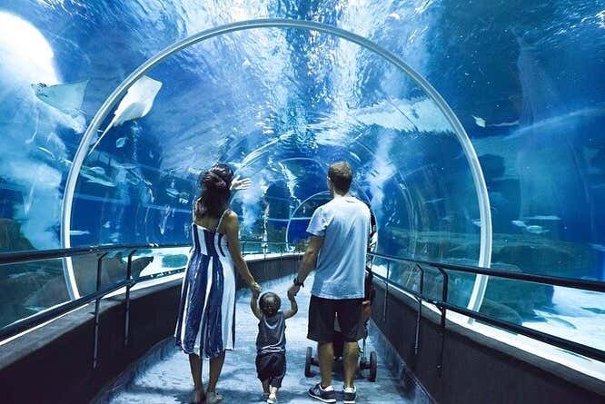 Entradas para AquaRio