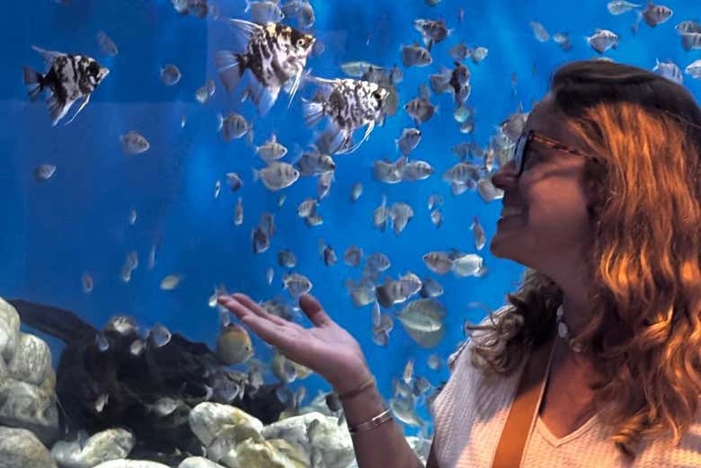 Entradas para AquaRio