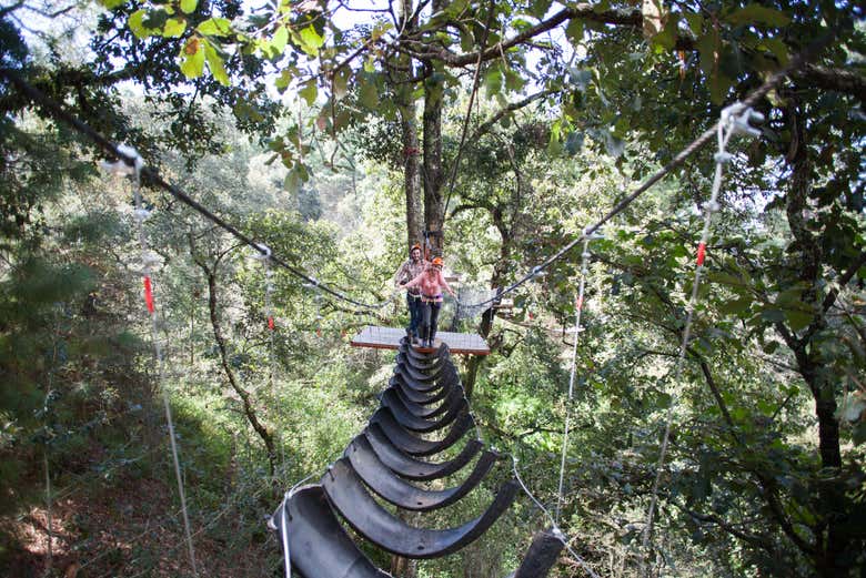 Tour de aventura en la Sierra del Tigre