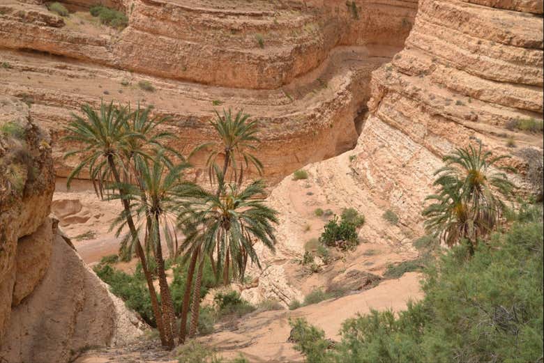 Excursión privada de 3 días a El Djem, Douz y Kairuán