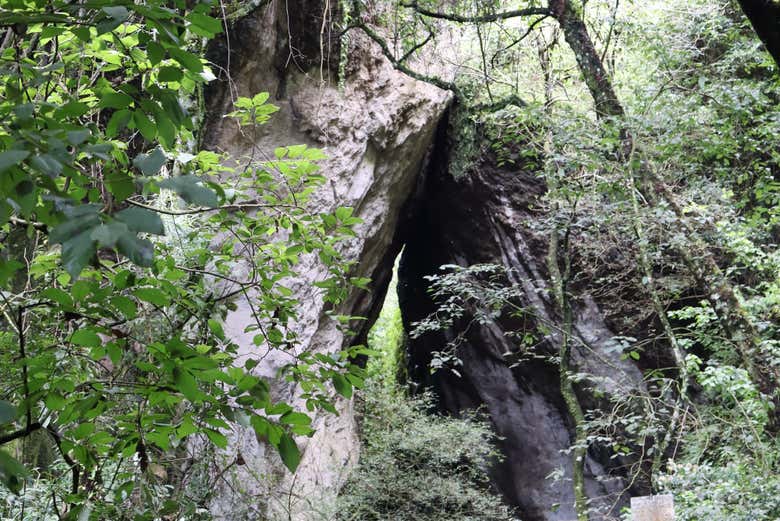 Excursión al portal energético de Amatlán