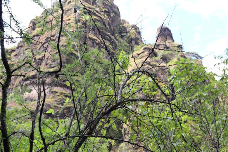 Excursión al portal energético de Amatlán