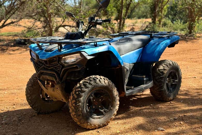 Tour en quad por Negril