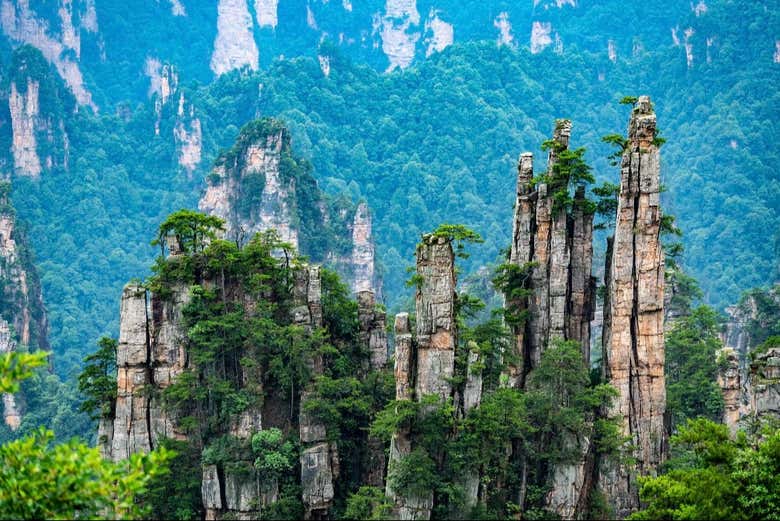 Entradas al Parque Nacional de Zhangjiajie