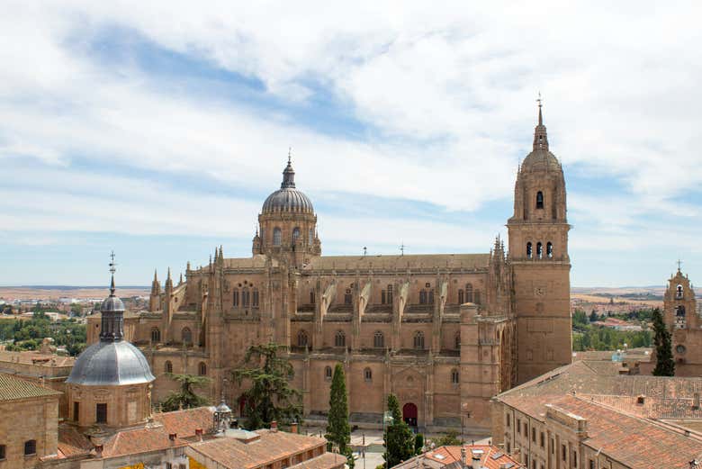 Visita guiada por la catedral de Salamanca