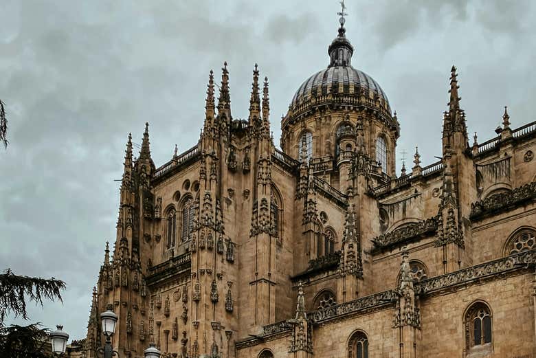 Visita guiada por la catedral de Salamanca