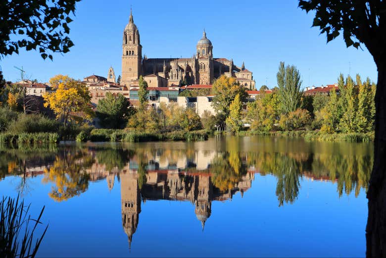 Visita guiada por la catedral de Salamanca