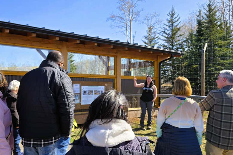 Excursión al santuario de perros lobo de Yamnuska finalizando en Calgary