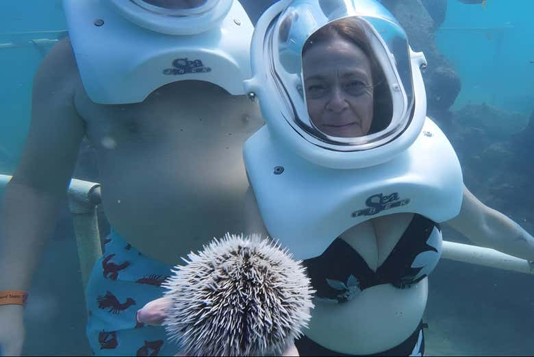 Snorkel y Sea Trek en Phillipsburg