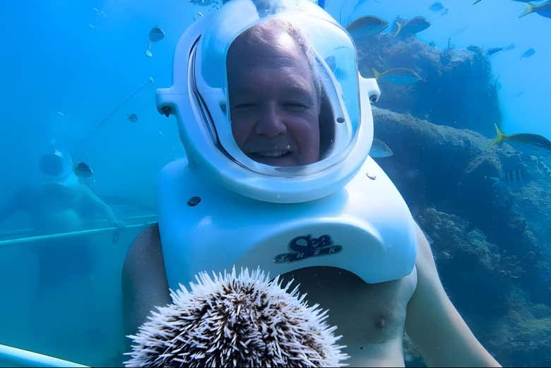 Snorkel y Sea Trek en Phillipsburg