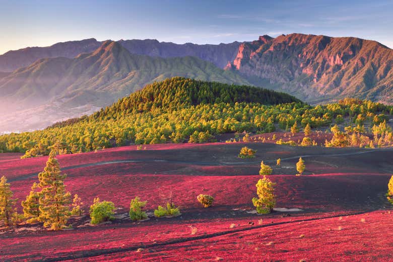 Senderismo al atardecer por el volcán de Tajogaite + Mirador Llanos del Jable