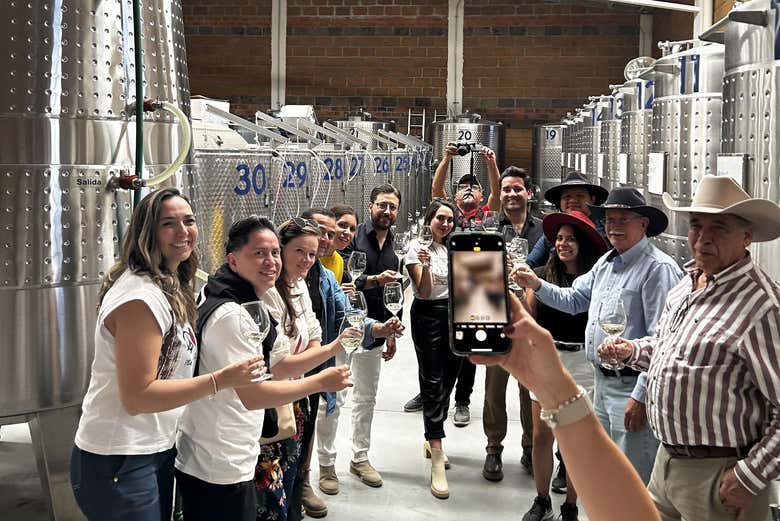 Excursión a Real de Asientos + Vinícola El Secreto