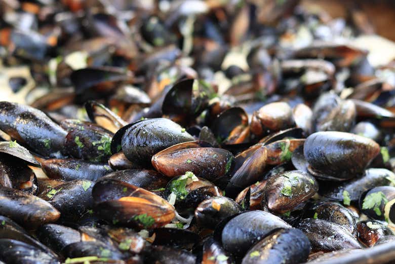 Paseo en barco por la ría + Degustación de mejillones
