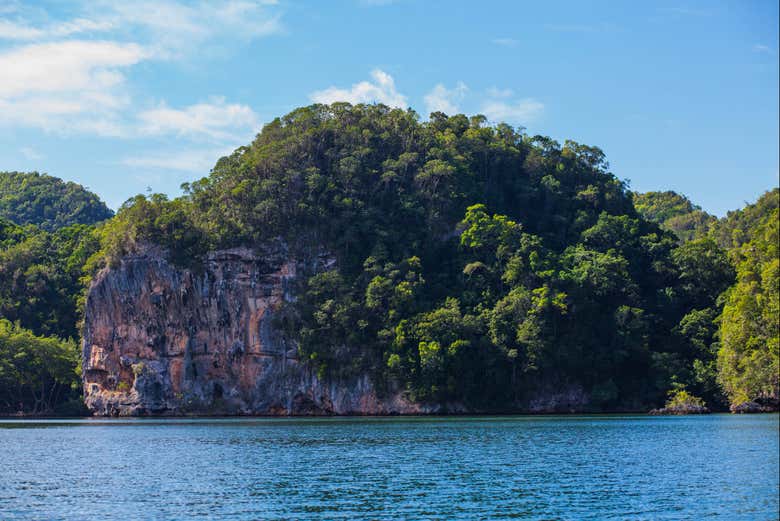 Excursión al Parque Nacional Los Haitises