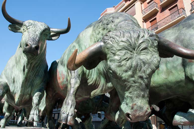 Excursión a Pamplona
