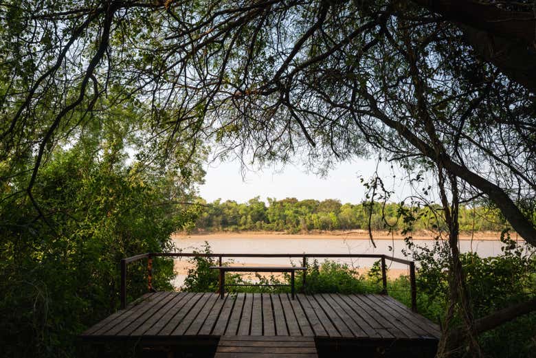 Excursión al Parque Nacional El Impenetrable con noche de glamping