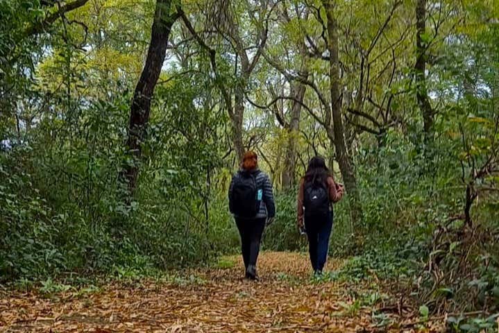 Excursión al Parque Nacional El Impenetrable con noche de glamping - Galería 1