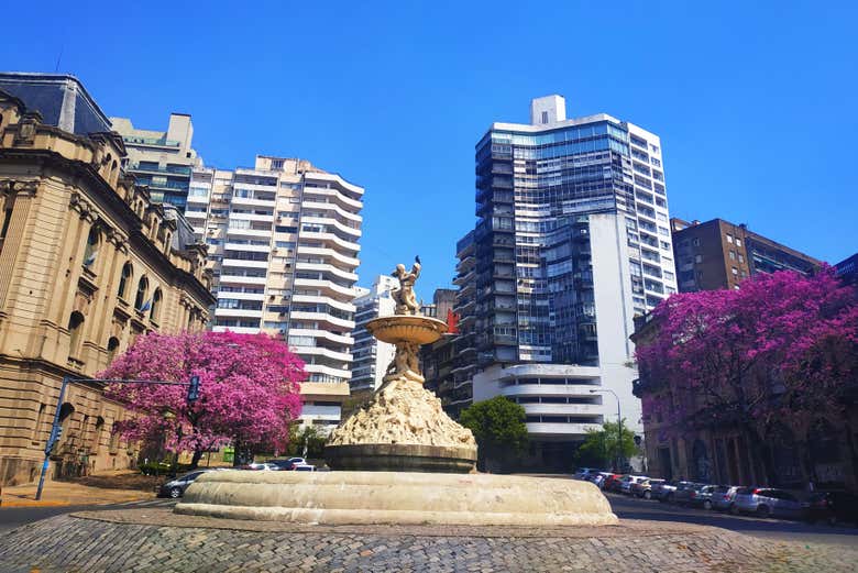 Visita guiada por Rosario