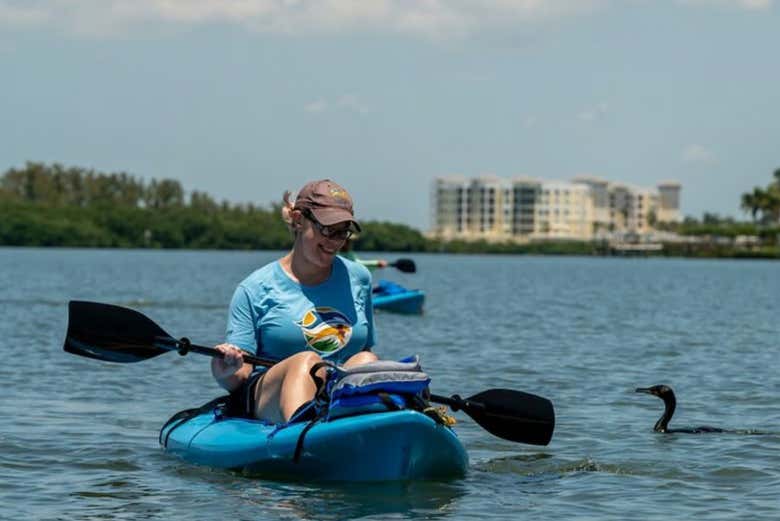 Tour en kayak por Tampa