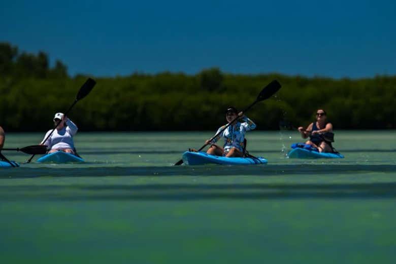 Tour en kayak por Tampa