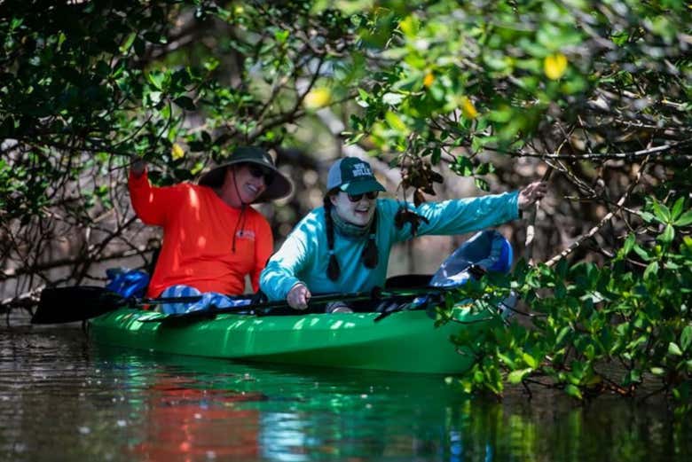Tour en kayak por Tampa