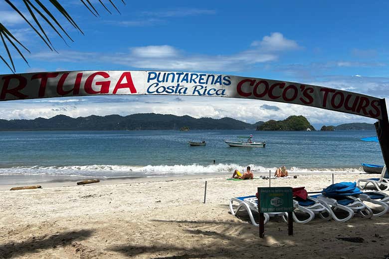 Excursión a Isla Tortuga + Snorkel
