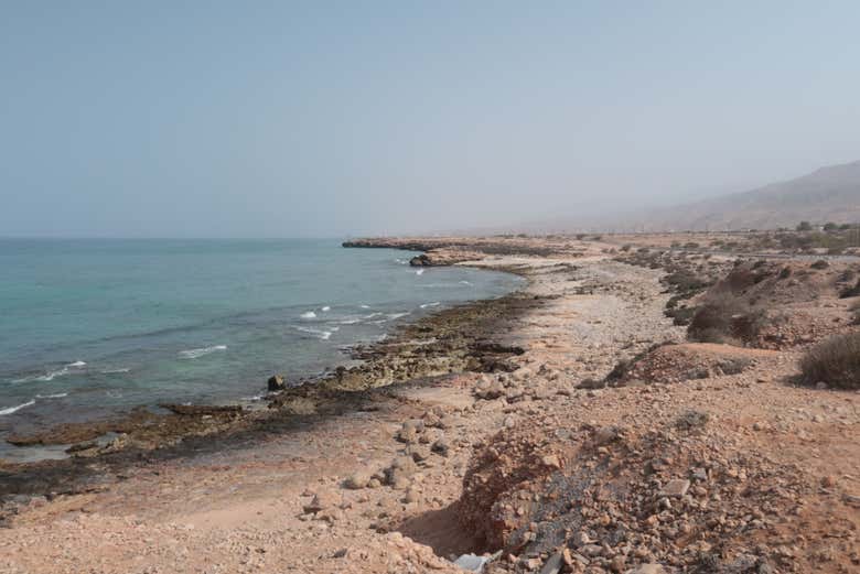 Tour de 2 días por la costa este de Omán
