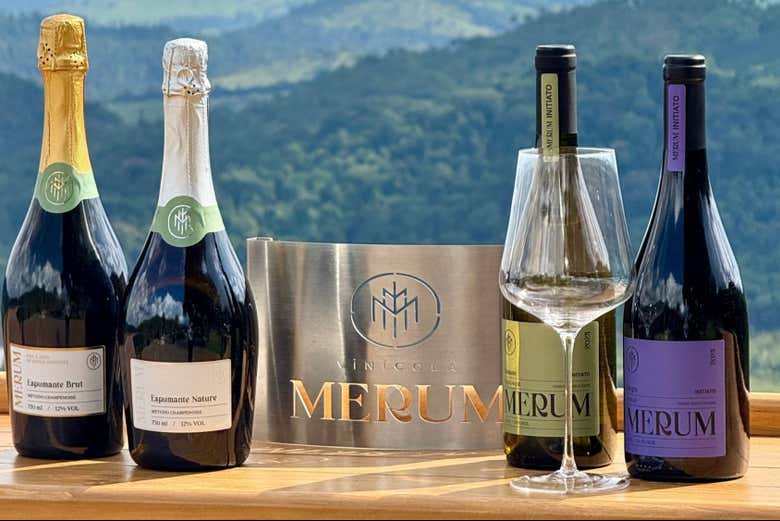 Tour del café y el vino por Espírito Santo do Pinhal