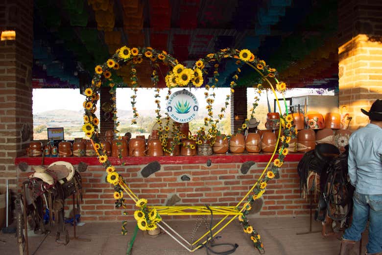 Paseo a caballo por los campos de agave del Rancho Don Jacinto