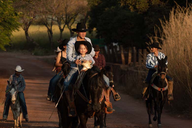 Paseo a caballo por los campos de agave del Rancho Don Jacinto