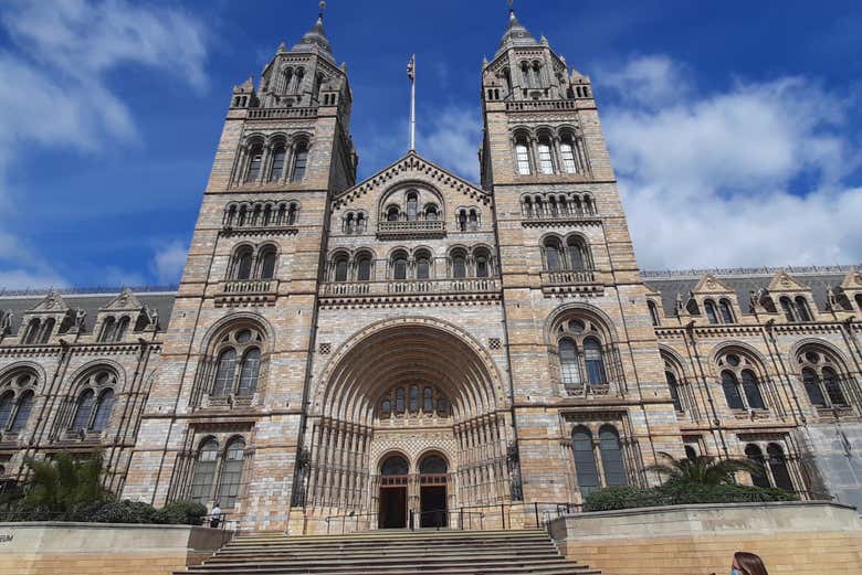 Visita guiada por el Museo de Historia Natural