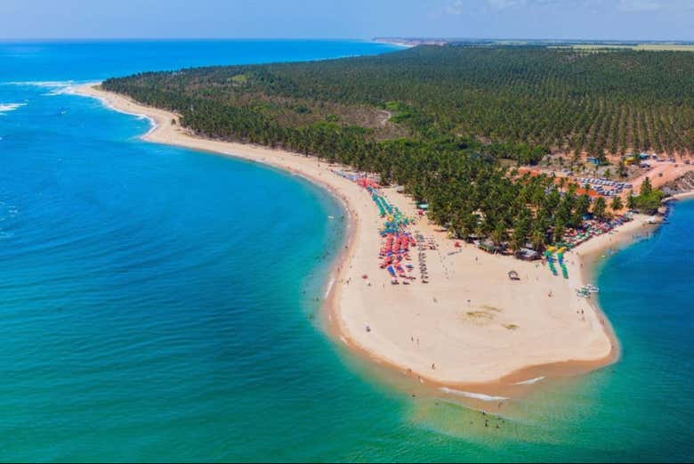 Excursión a la playa de Gunga en autobús