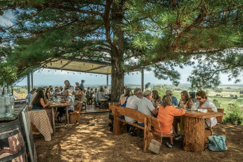 Visita a la bodega Alto de la Ballena