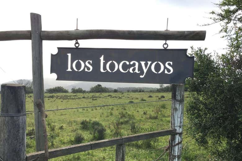 Visita a la finca Olivos de las Ánimas