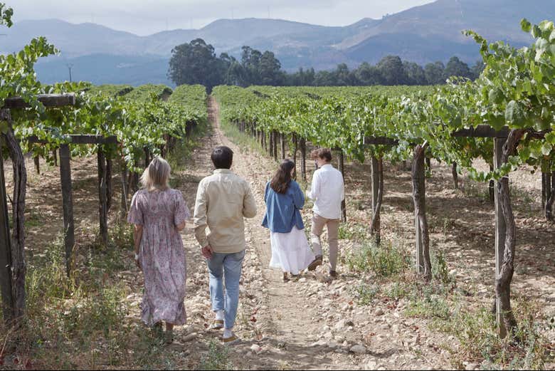 Visita a la bodega La Val