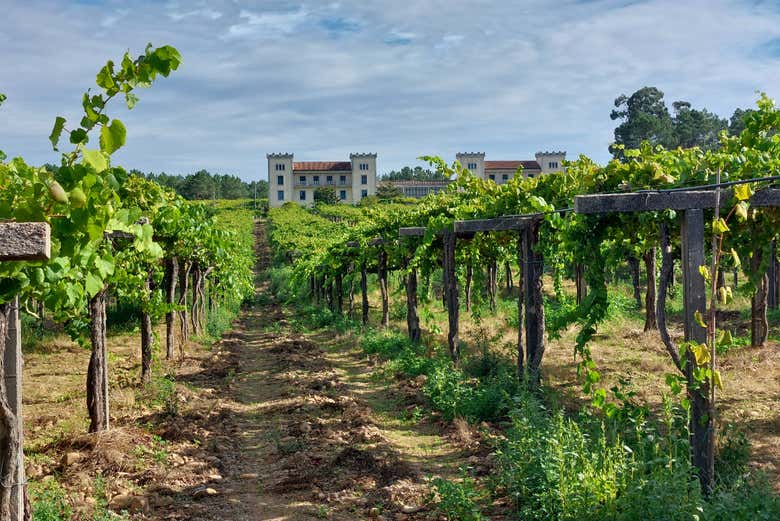 Visita a la bodega La Val