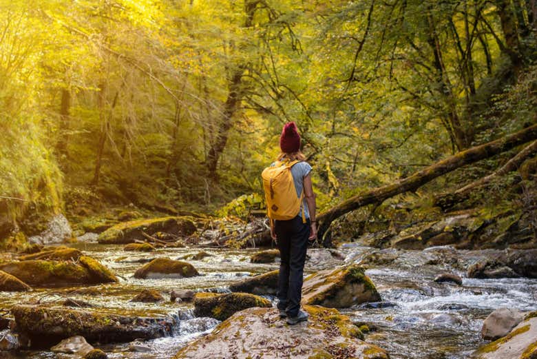 Excursión a la Selva de Irati y Ochagavía