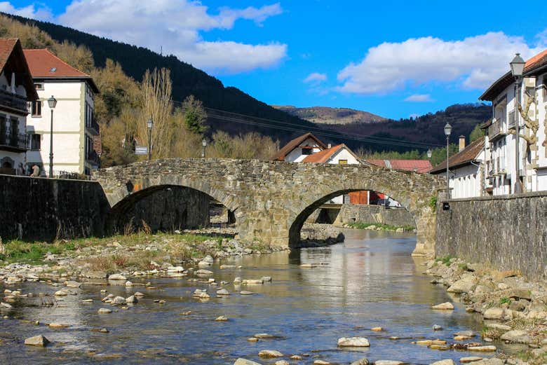 Excursión a la Selva de Irati y Ochagavía